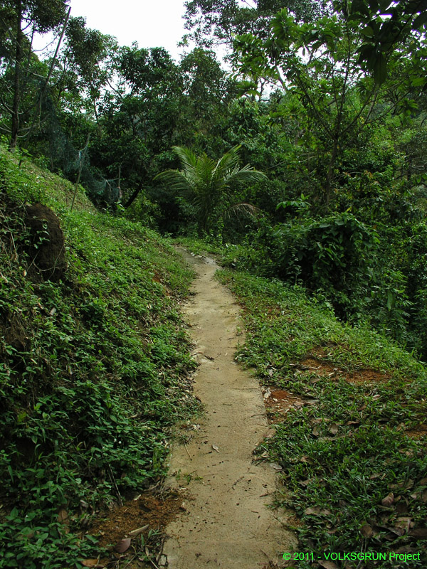 weather forecast for Malaysian jungle66